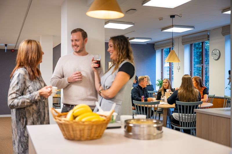 Sveriges AllmĂ¤nnytta