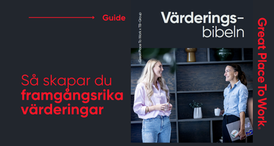 Guide_värderingsbibeln