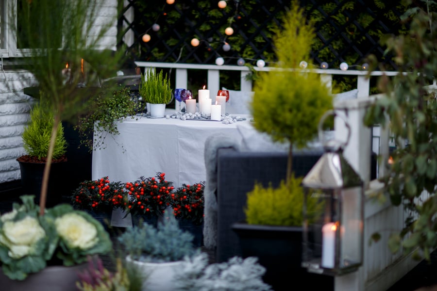 Hasselfors Garden AB, Neova AB