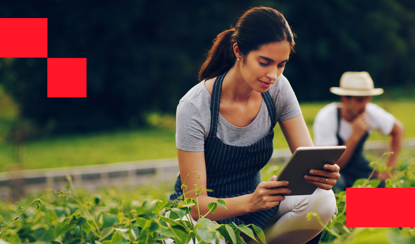 EU:s nya hållbarhetsdirektiv: Vad du behöver veta